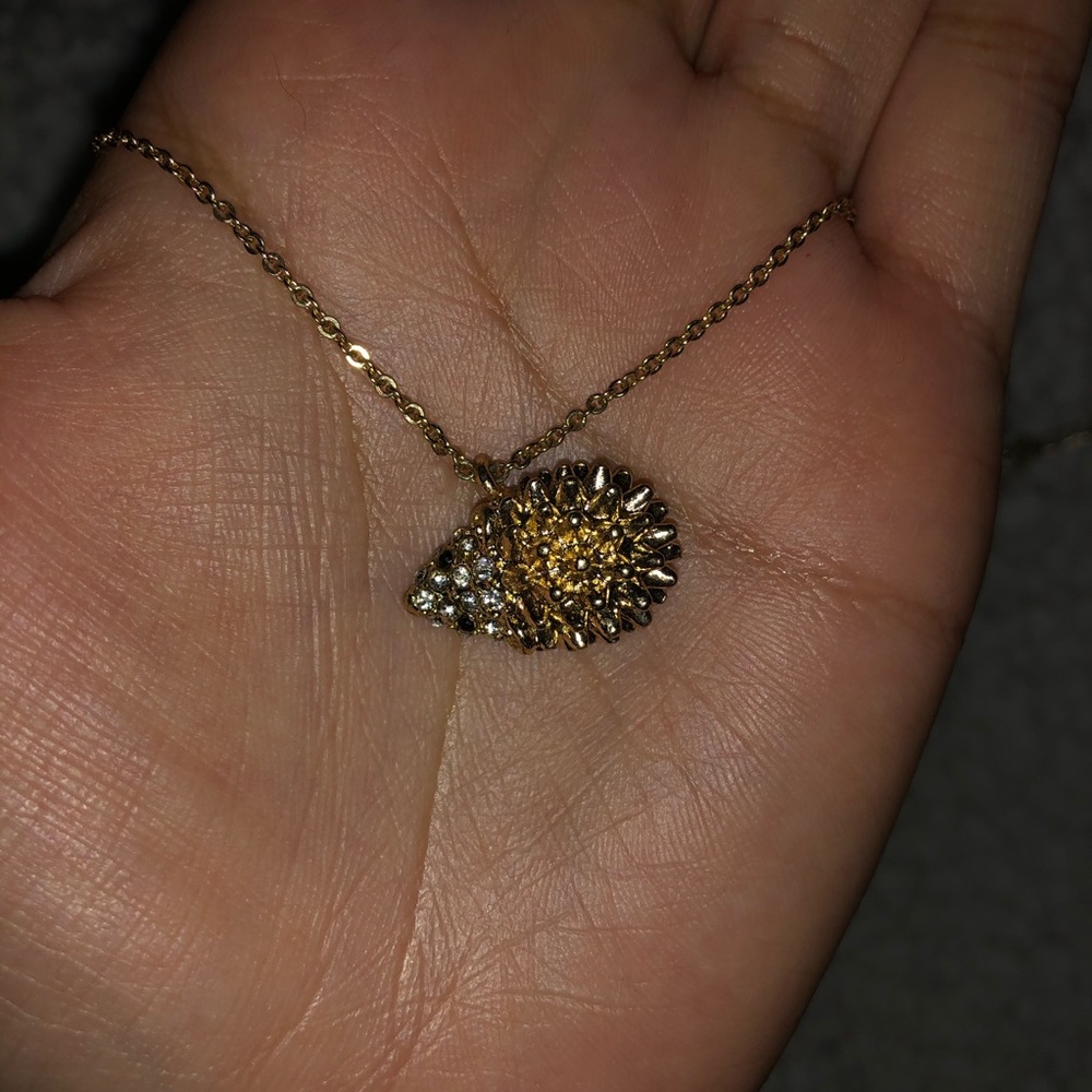 Porcupine necklace!